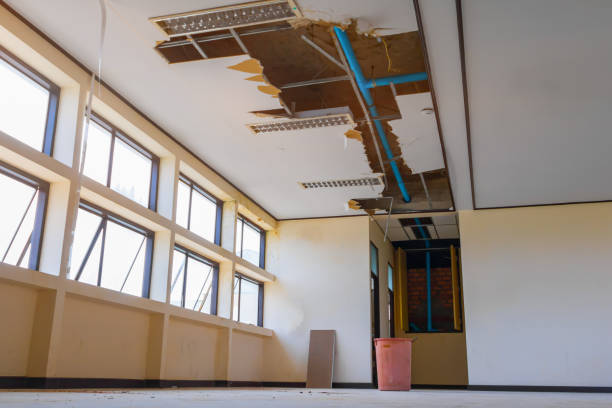 Best Sewage cleanup and water damage restoration  in Mundelein, IL