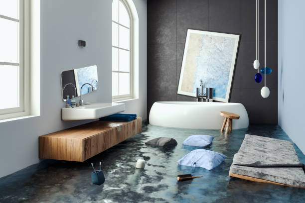 Best Professional water damage repair  in Mundelein, IL