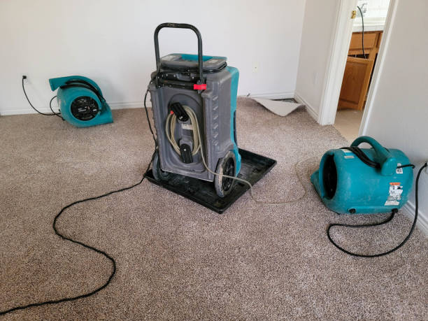 Best 24/7 water damage repair  in Mundelein, IL