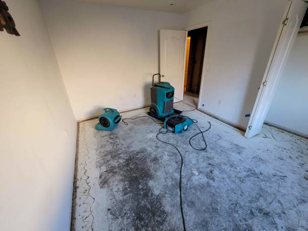 Best Water damage restoration insurance claims  in Mundelein, IL