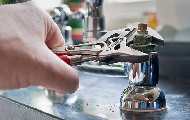 Best Mold removal after water damage  in Mundelein, IL