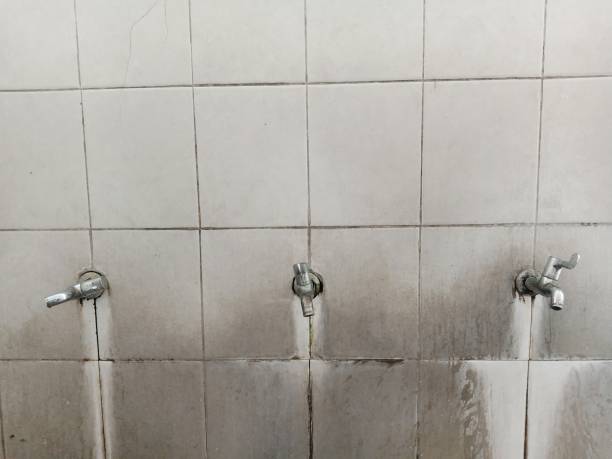 Best Emergency water damage restoration  in Mundelein, IL