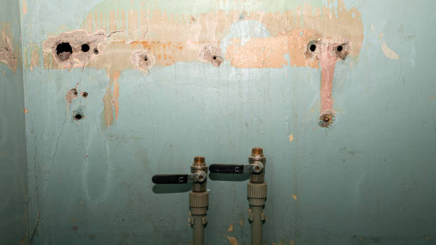 Local water damage restoration in Mundelein, IL