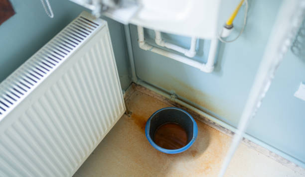 Best Fire Damage Restoration  in Mundelein, IL
