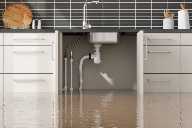 Professional Water damage restoration in Mundelein, IL