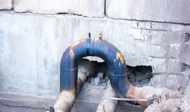 Best Water damage restoration specialists  in Mundelein, IL