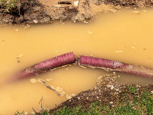 Best Flood damage cleanup  in Mundelein, IL