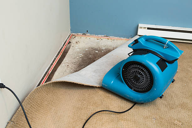 Water damage restoration insurance claims in Mundelein, IL